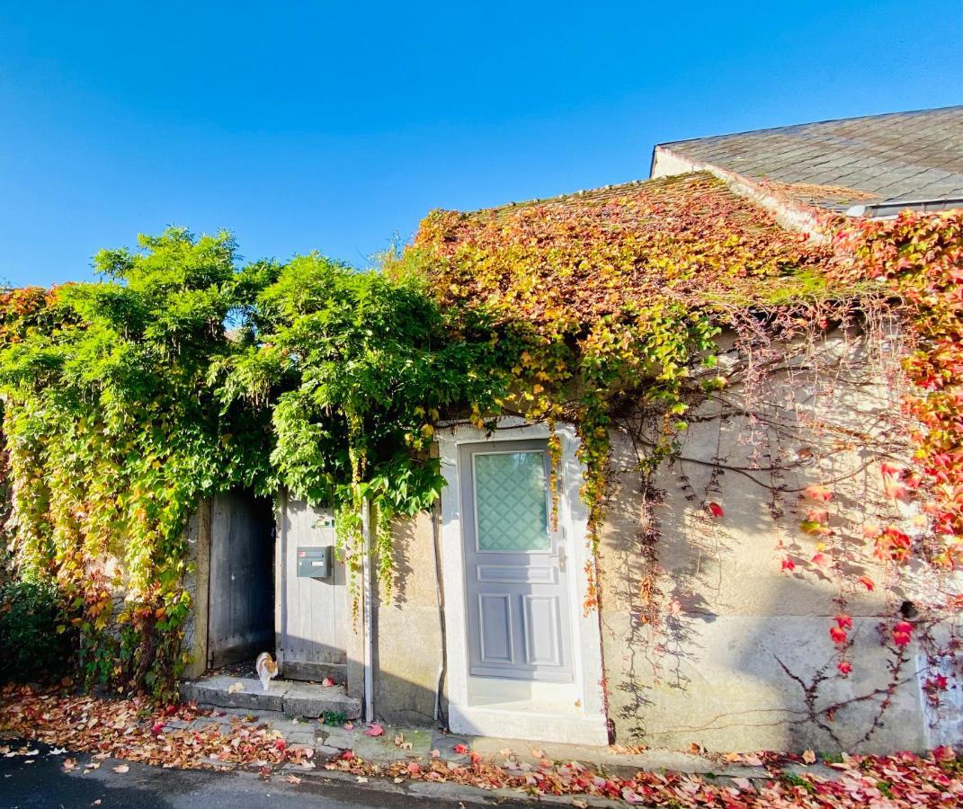 Villa Le Secret De Clamecy Selles-sur-Cher Exterior foto